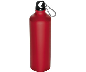 800ml Drinking bottle with snap hook